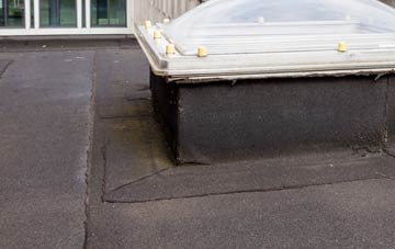disadvantages of Coup Green flat roofs