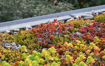 the cost of Coup Green green roof installation