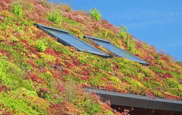 Coup Green living roof systems