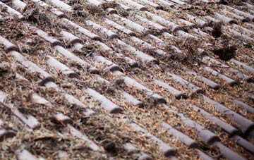 Coup Green roof cleaning companies