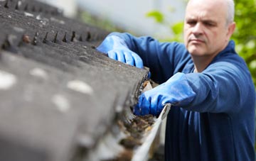 cleaning and inspecting Coup Green roofs