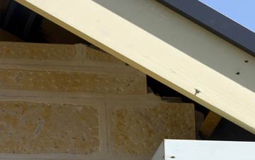 soffit repair Coup Green