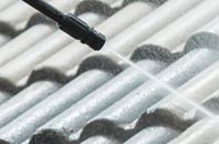 rated Coup Green roof cleaning companies